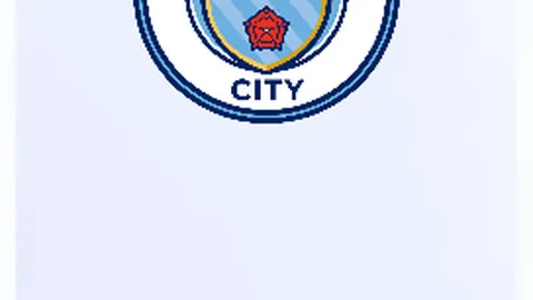 卡迪夫城挑战赫尔城英冠焦点：赫尔队核心前锋上轮受伤休战